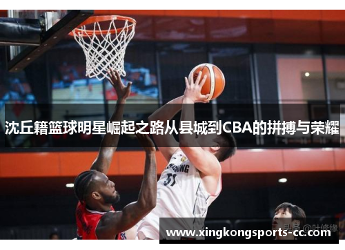 沈丘籍篮球明星崛起之路从县城到CBA的拼搏与荣耀